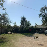 فروش زمین مسکونی|فروش زمین و ملک کلنگی|شفت, |دیوار