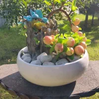 بنسای تنه درخت