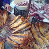 محصولات گیلان