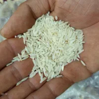 فروش برنج طارم هاشمی کشت اول