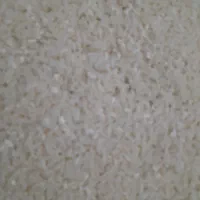 نیم دانه ریز