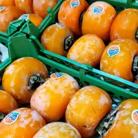 خرمالو نرم و شیرین + هایپر میوه گلچین|خوردنی و آشامیدنی|شاهدشهر, |دیوار