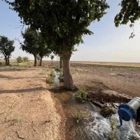 فروش زمین زراعی و باغی در فاصله یکساعته تهران