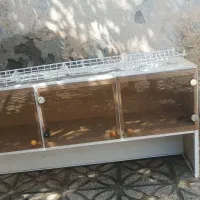 کابینت