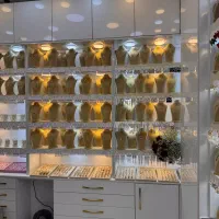 نیازمند همکار خانم جهت فروشندگی بدلیجات