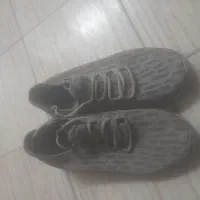 کفش راحتی برند پاما|کیف، کفش، کمربند|کرمان, |دیوار