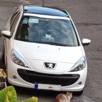 خودرو 207 سقف پانا ارتقا یافته