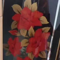 چند عدد وسیله|ظروف سرو و پذیرایی|سبزوار, رضوی|دیوار