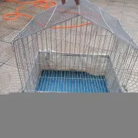 قفس پرنده