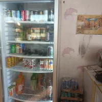 یخچال و فریزر فروشگاه|فروشگاه و مغازه|تیران, |دیوار