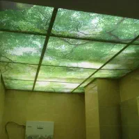 سقف کاذب