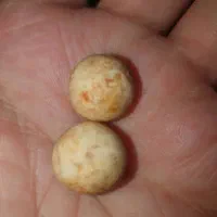 دوتا سنگ مهره تیربند جنس مخالف نشان کم یاب