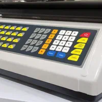 ترازو باسکول توزین صدر محک|فروشگاه و مغازه|اصفهان, نصرآباد|دیوار