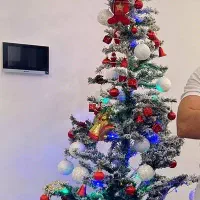 درخت کریسمس وارداتی