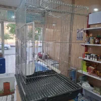 قفس عروس هلندی