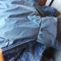 کاپشن بادگیر توخزدارنوبفروش میرسد