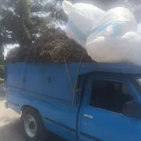 نیسان دوگانه تیوبلس شاسی سالم بی رنگ|خودرو سواری و وانت|اصفهان, براآن شمالی|دیوار