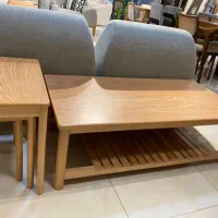 نیروی رنگار ماهر یانیمه ماهر