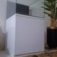 اکواریوم ریملس