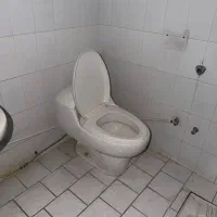 توالت فرنگی