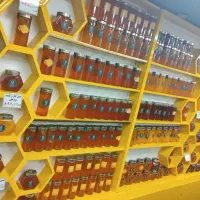 دکور و ویترین عسل