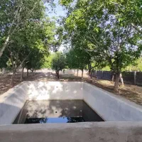 باغ