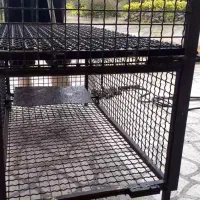 تله قفس زنده گیر روباه،گربه وحشی وغیره