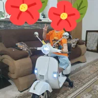 موتور شارژی کودک