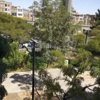 پیک موتوری