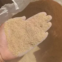 دوکوب پوست چلتوک