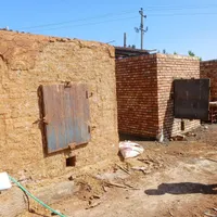 فروش زغال با کیفیت سردشت