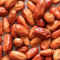 سنجد تازه