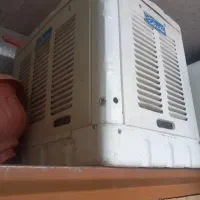 کولرابی کوچک سالم معاضه ام دارم