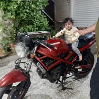 سوزوکی بندیت