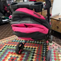 کالسکه دلیجان|کالسکه و لوازم جانبی|شیراز, گویم|دیوار