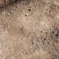 زمین تجاری۸۰متر