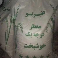 برنج محلی عنبربو