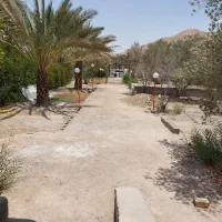 فروش باغ ۱۰۰۰ متری مجتمع زیتون|فروش خانه و ویلا|لار, |دیوار