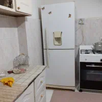 لوازم خانگی|فرش|سهند, |دیوار