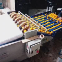 پلاستیک پیچی وگرمادرمانی|خدمات پیشه و مهارت|قائم‌شهر, |دیوار