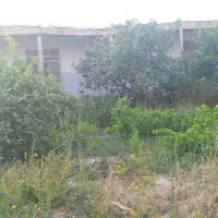 خونه‌باغ‌ویلایی|فروش خانه و ویلا|دشتابی, |دیوار