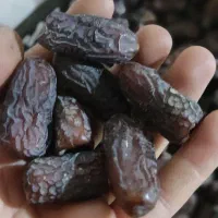 خرما پیارم و کبکاب خشت خاصویی جمی