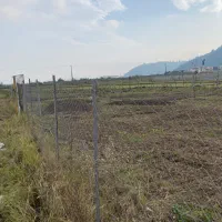 فروش-270متر-تی-تک