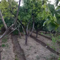 باغ-ویلا