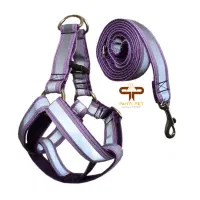 قلاده سگ و گربه مدل شبرنگ