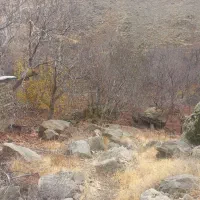 زمین-کشاورزی-186-متر-سولقان