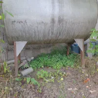 مناسبی کارم