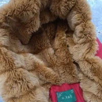 پالتو و کاپشن گرم دخترانه. زنانه.400|لباس|چهارباغ, |دیوار