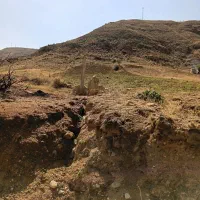 زمین نرسیده به ارپادرسی