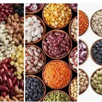 خرید فروش حبوبات برنج
